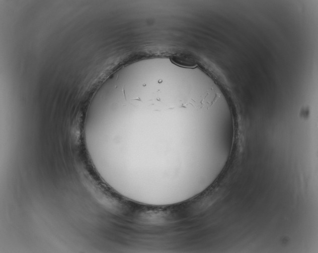 X0000116350065200912221510