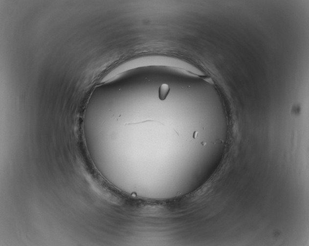 X0000116350066200912221510
