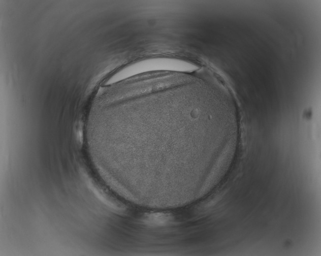 X0000116350067200912221510