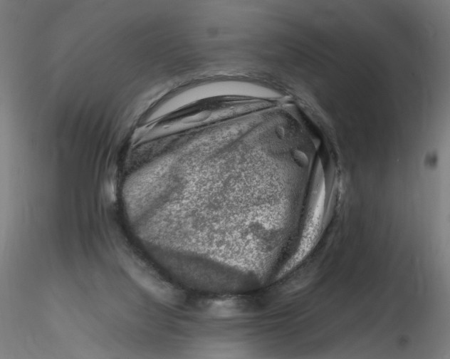 X0000116350068200912221510