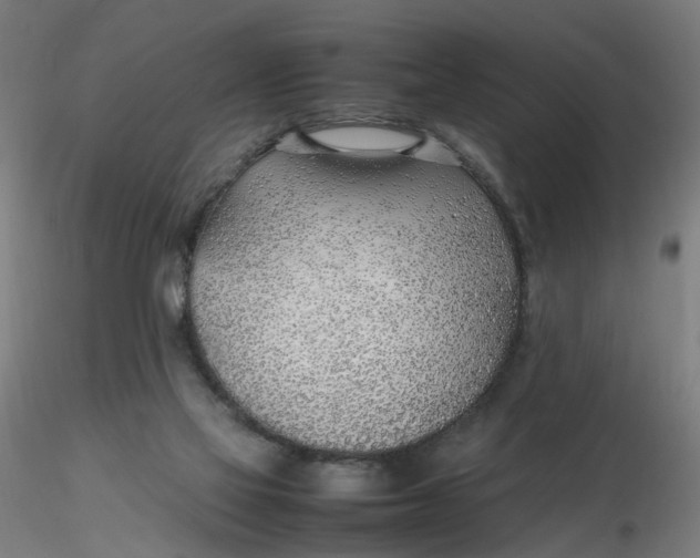 X0000116350069200912221510