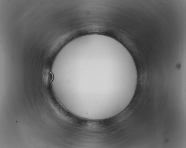 X0000116350070200912221511