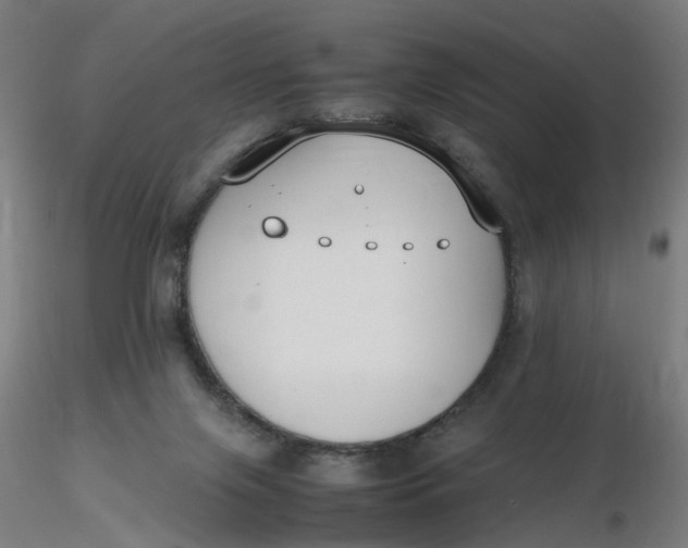 X0000116350071200912221511