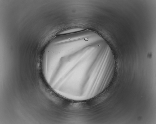 X0000116350072200912221511