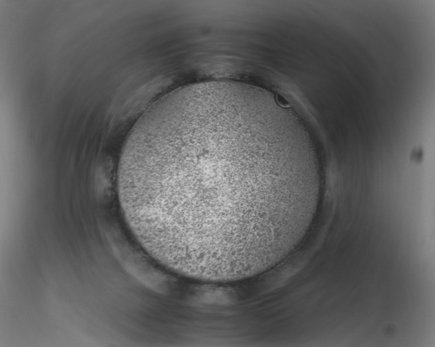 X0000116350073200912221511