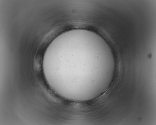 X0000116350074200912221511