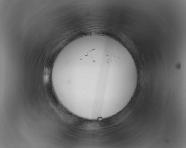 X0000116350075200912221511