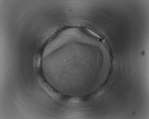 X0000116350076200912221511