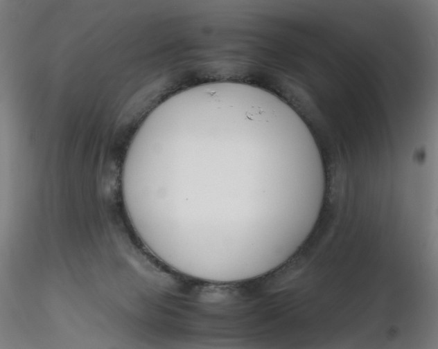 X0000116350077200912221511