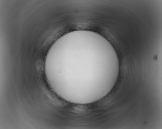 X0000116350079200912221511