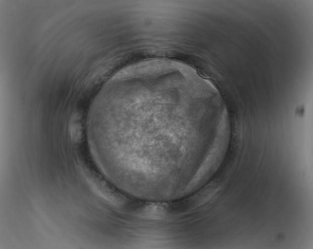 X0000116350080200912221511