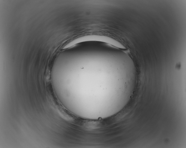 X0000116350081200912221511