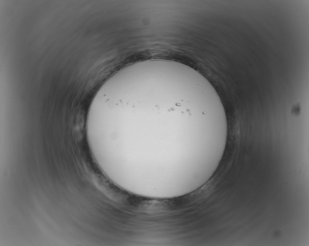 X0000116350082200912221511