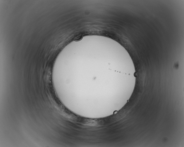 X0000116350083200912221511