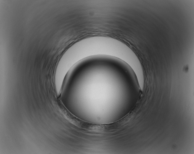 X0000116350084200912221511