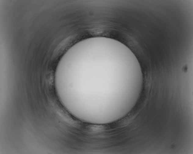 X0000116350085200912221511