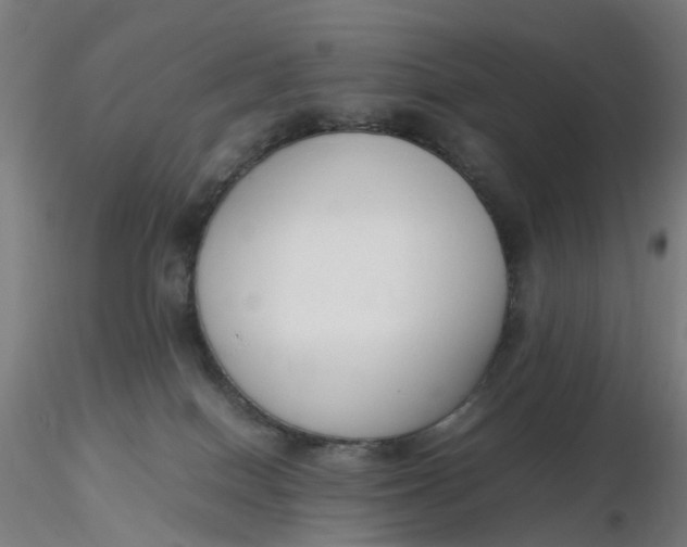 X0000116350086200912221511