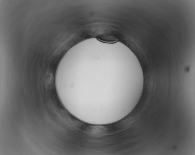 X0000116350087200912221511