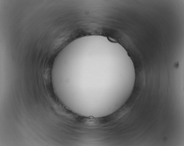 X0000116350088200912221511
