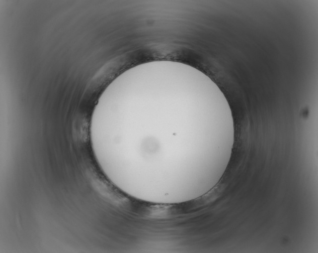 X0000116350090200912221511