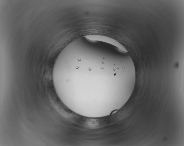 X0000116350091200912221511