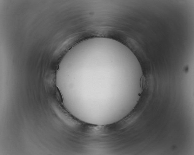 X0000116350092200912221511