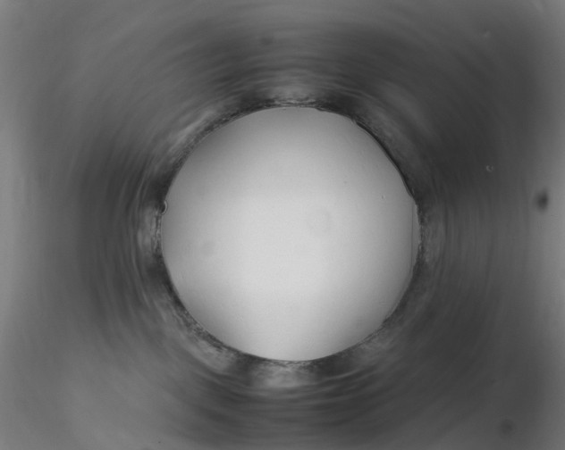X0000116350093200912221511