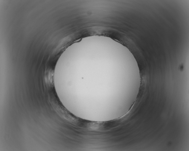 X0000116350094200912221511