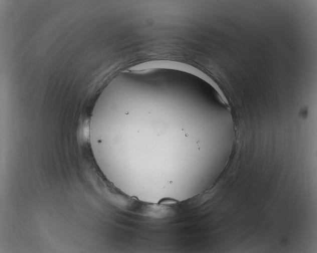 X0000116350095200912221511