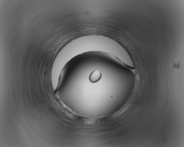 X0000116350096200912221511