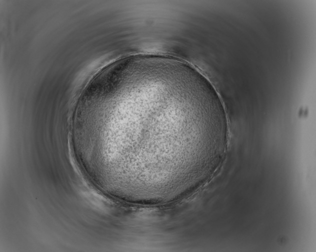 X0000116350097200912221510