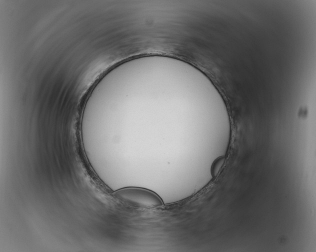 X0000116350098200912221510