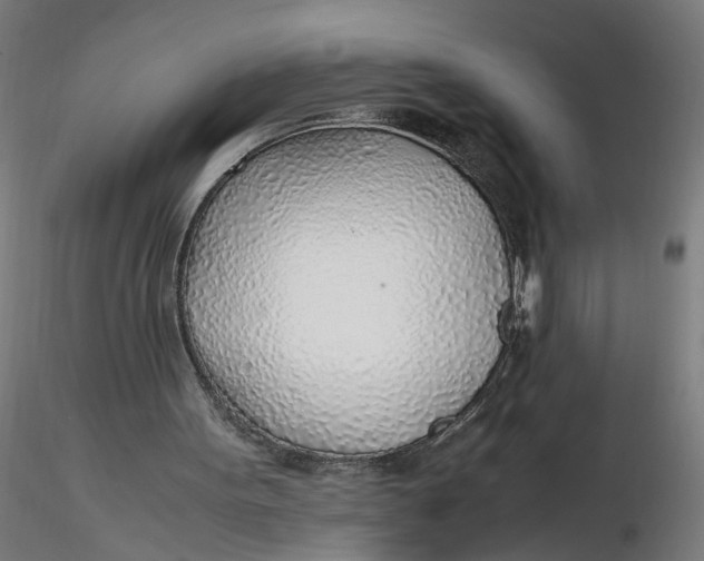 X0000116350099200912221510