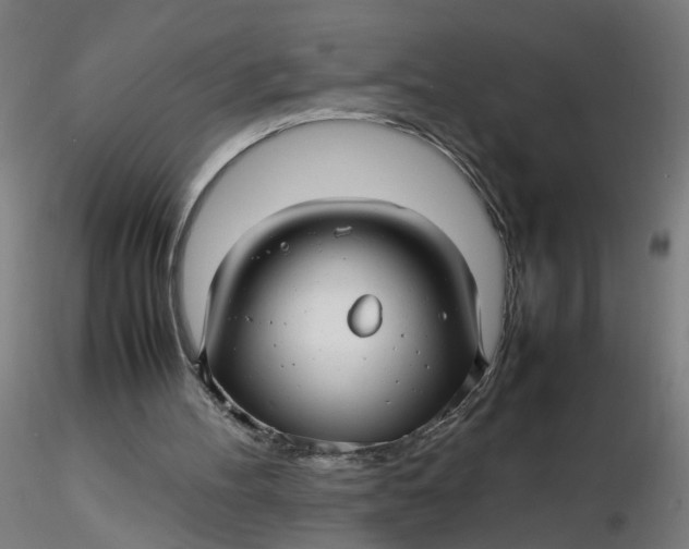 X0000116350100200912221510