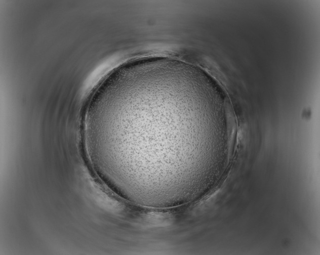 X0000116350101200912221510