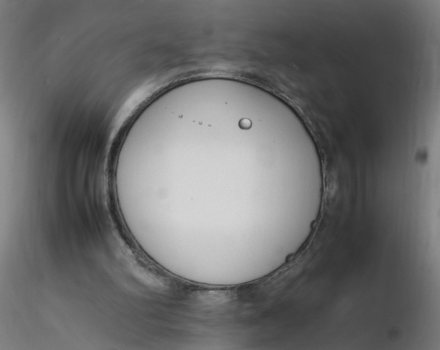 X0000116350102200912221510