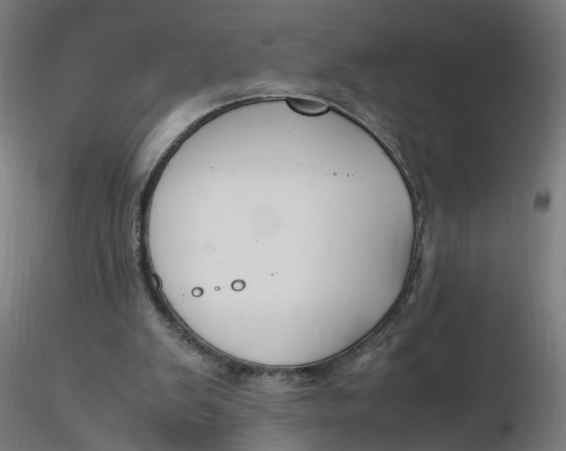 X0000116350103200912221510