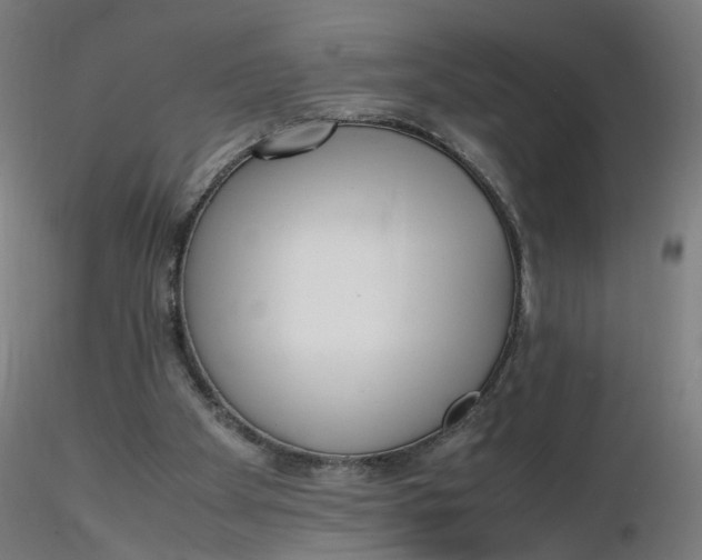 X0000116350105200912221510
