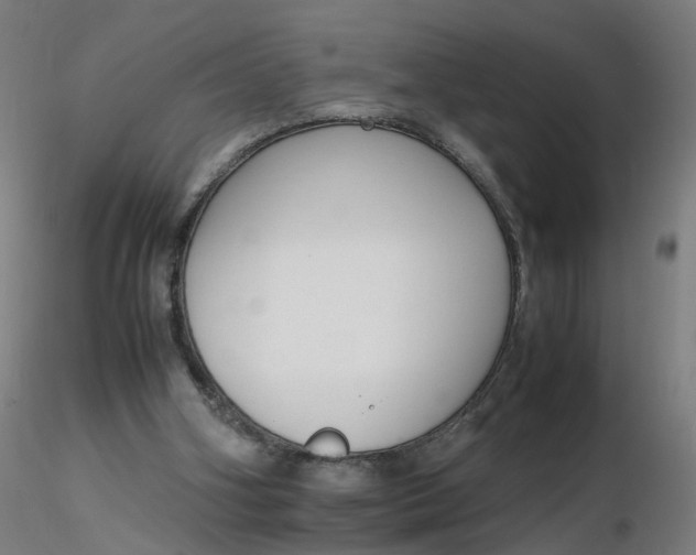 X0000116350106200912221510