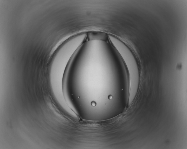 X0000116350108200912221510