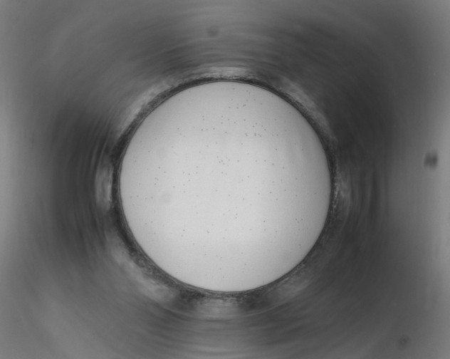 X0000116350110200912221510