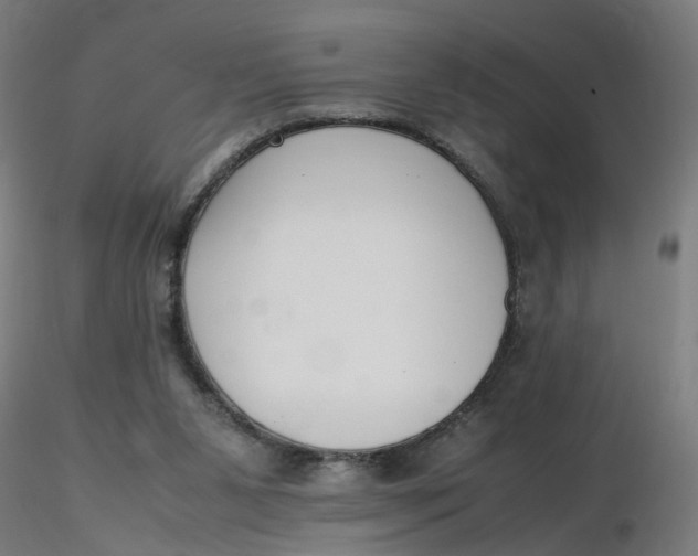 X0000116350111200912221510