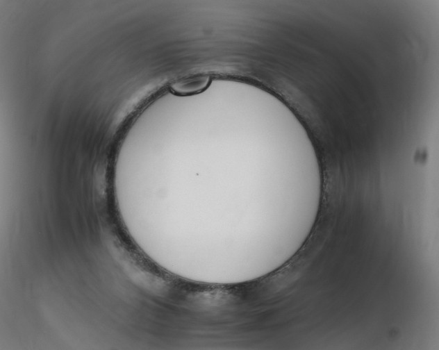 X0000116350112200912221510