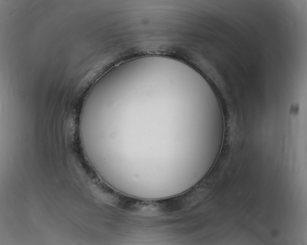 X0000116350113200912221510
