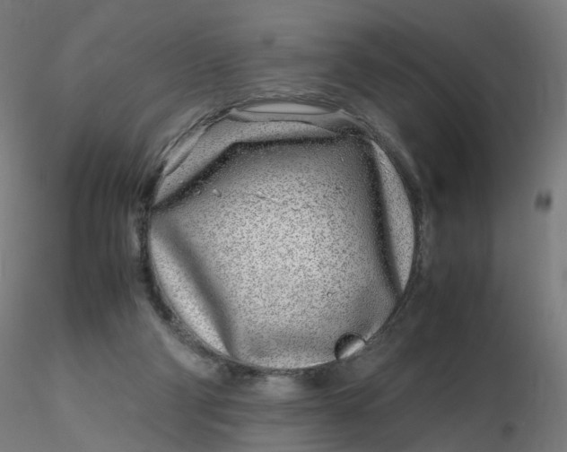 X0000116350114200912221510