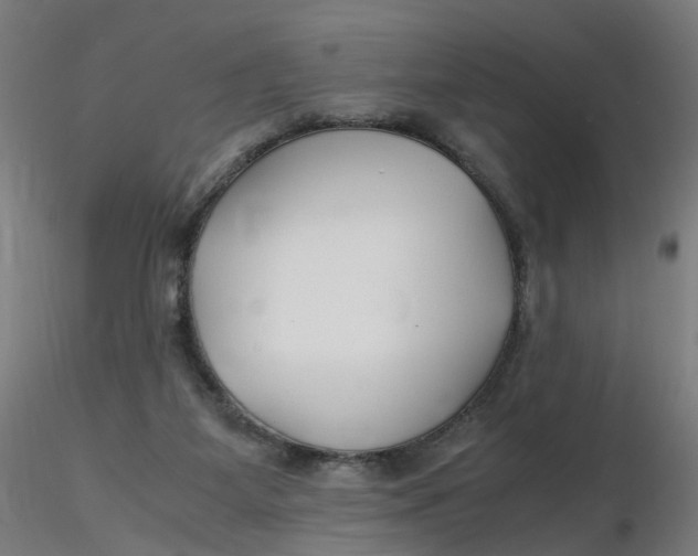 X0000116350115200912221510