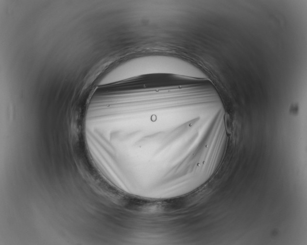 X0000116350116200912221510