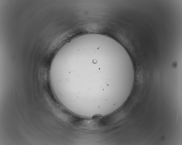 X0000116350117200912221510