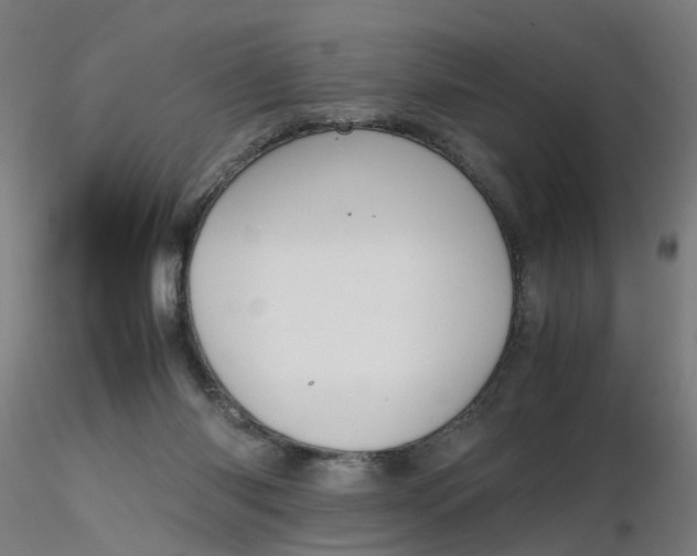 X0000116350118200912221510