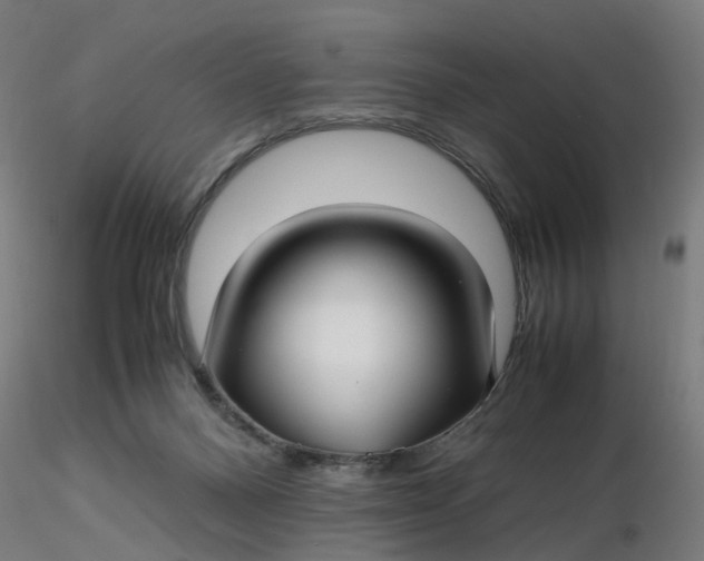 X0000116350120200912221510